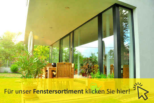 Moderne Fenster